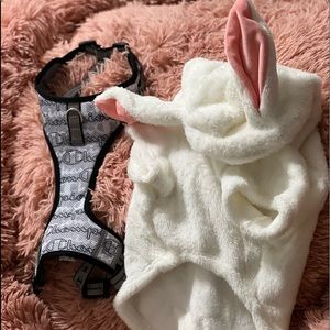 Medium size costume & harness